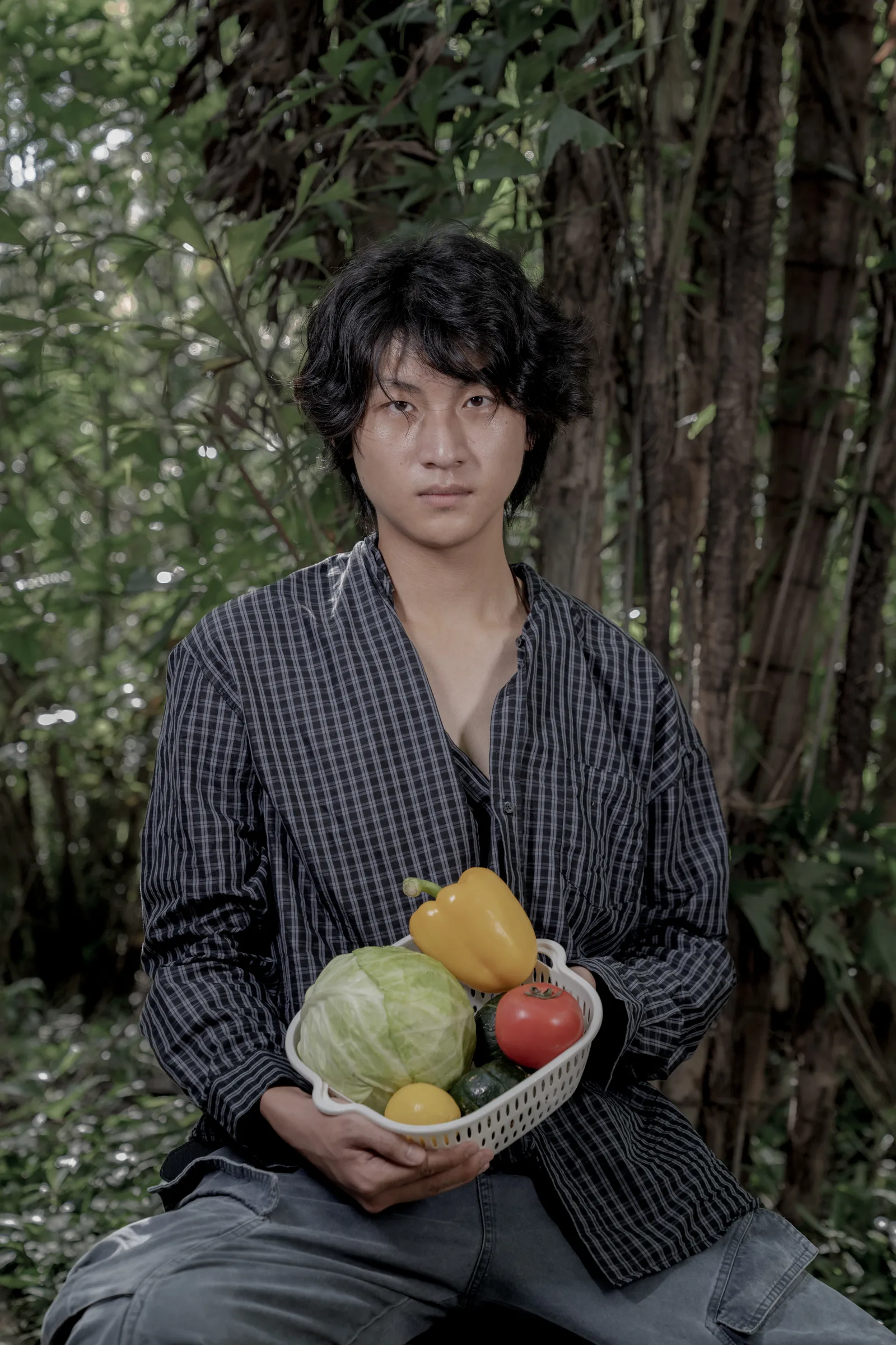 Planting Plan — Ragazzo con canestra di frutta